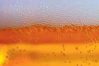 Bier