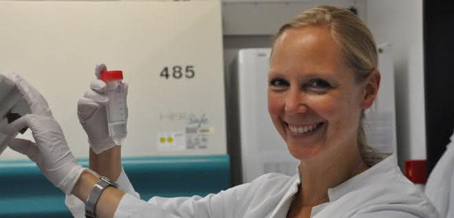 Proteomik: Proteinkomplex für den Hepatitis C-Viruseintritt in Leberzellen aufgeklärt
