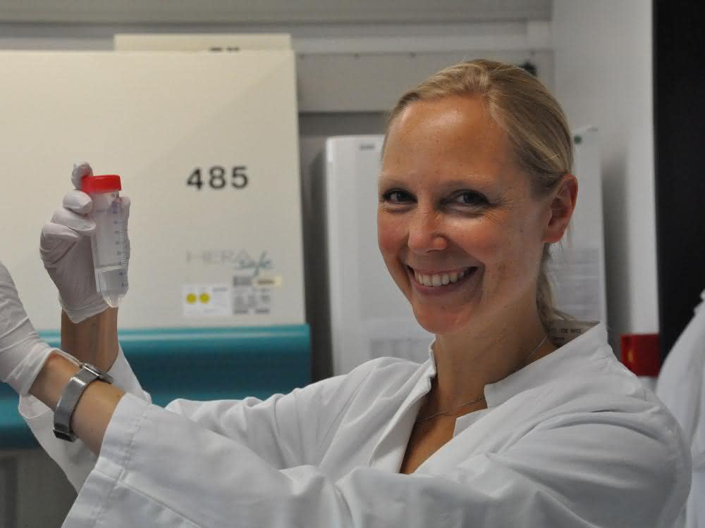 Proteomik: Proteinkomplex für den Hepatitis C-Viruseintritt in Leberzellen aufgeklärt