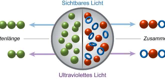 Mit Hilfe eines photoschaltbaren Katalysatorsystems lassen sich sowohl Kettenlänge (links) als auch Zusammensetzung (rechts) der gebildeten Polymere durch Licht unterschiedlicher Wellenlänge kontrollieren. Visualisierung: Fabian Eisenreich Visualisierung photoschaltbares Katalysatorsystem