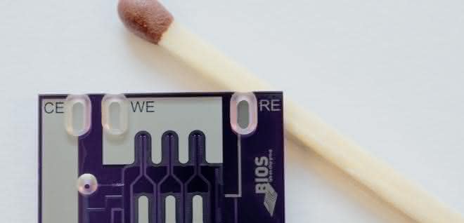 Chip im Größenvergleich