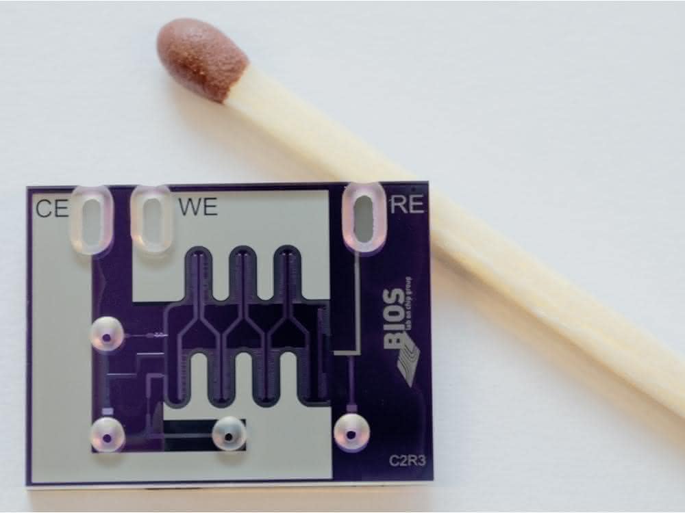 Chip im Größenvergleich Chip im Größenvergleich