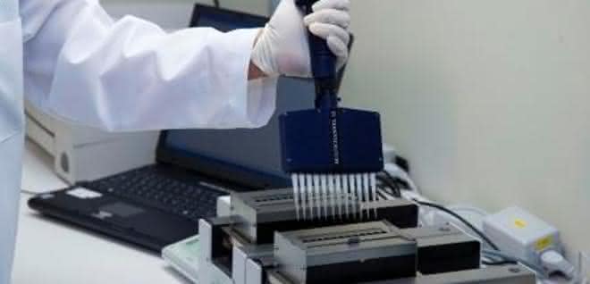Mitarbeiter mit Mehrkanalhandpipette