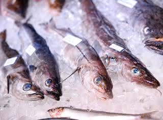 Lebensmittelbetrug: BVL informiert über Food Fraud auf der Internationalen Grünen Woche