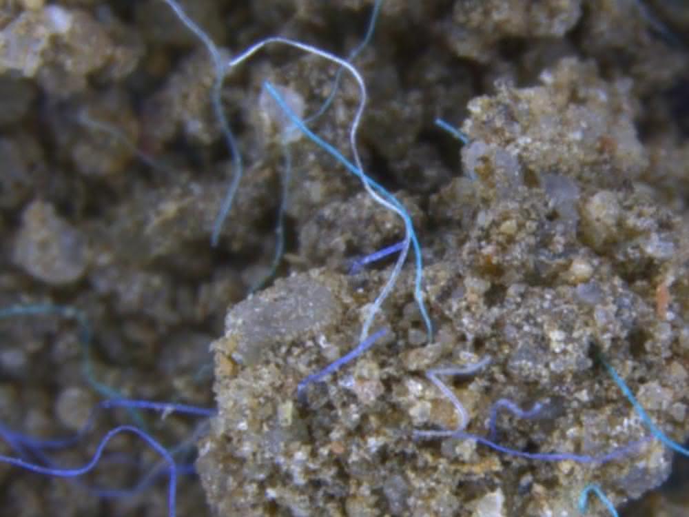 Polyacrylfasern im Erdreich Mikroplastik: Gefahr auch für Böden und Binnengewässer