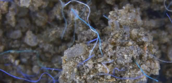 Mikroplastik: Gefahr auch für Böden und Binnengewässer