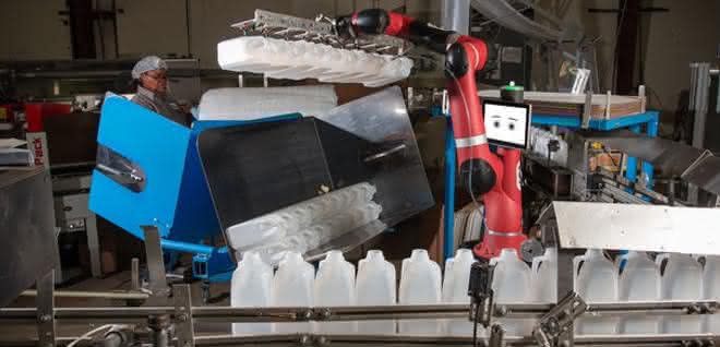 The collaborative robot Sawyer supports the employees at Cox in packing the bottles.