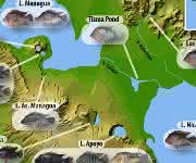 Die Karte zeigt die geografische Verteilung und morphologische Vielfalt der verschiedenen Midas-Buntbarscharten und Ökotypen ... Karte zeigt die geografische Verteilung und morphologische Vielfalt der verschiedenen Midas-Buntbarscharten und Ökotypen, die den Nicaragua- und Managuasee sowie verschiedene Kraterseen bewohnen