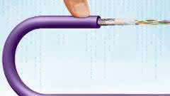 CF11 CF11