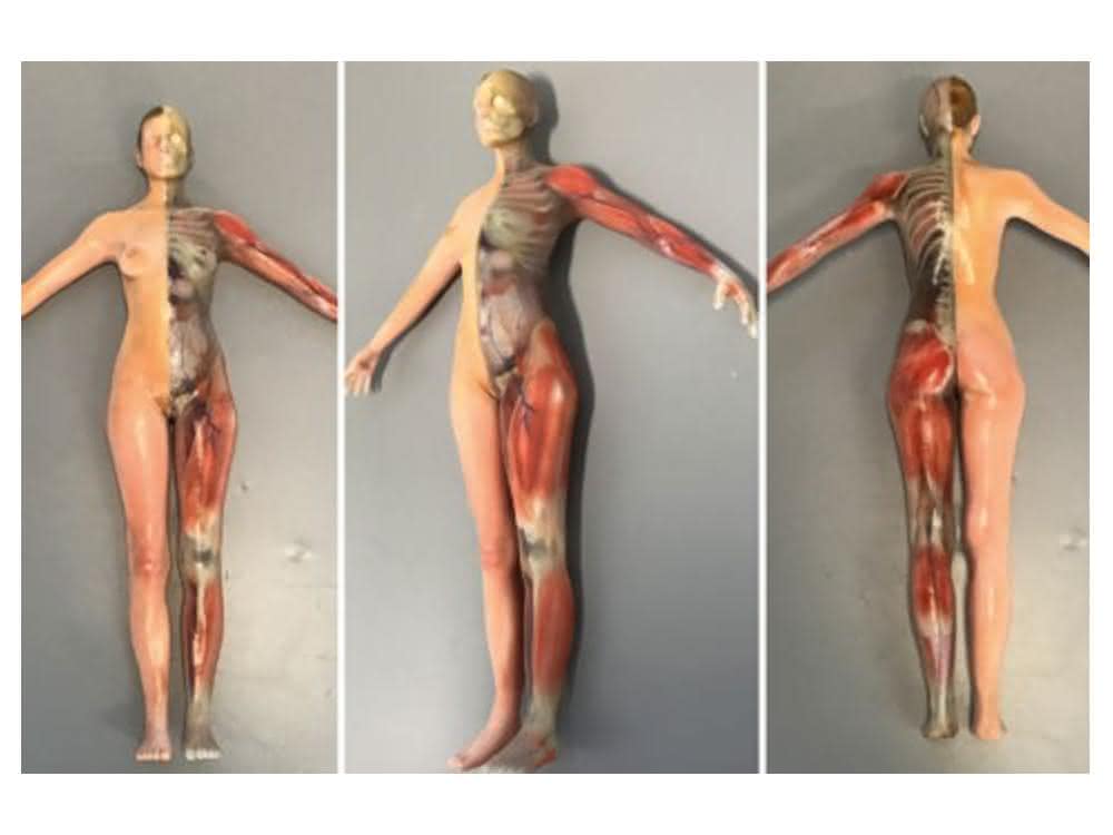 3D-Modell 3D-Modell