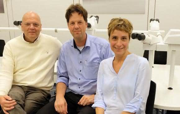 Freuen sich über 7,7 Mio. Euro für Forschungsverbund: Prof. Wolfgang Brück, Direktor Institut für Neuropathologie UMG, Prof. Fred Wouters, Labor für Molekulare und Zelluläre Systeme, Dr. Gertrude Bunt. (Bild: umg) Prof. Wolfgang Brück, Direktor Institut für Neuropathologie UMG, Prof. Fred Wouters, Labor für Molekulare und Zelluläre Systeme, Dr. Gertrude Bunt