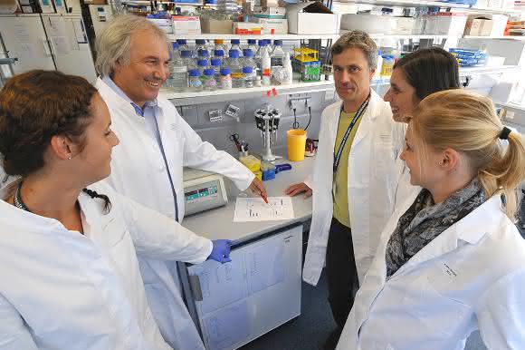 Mitarbeiter der Immunmodulatorischen Abteilung der FAU. (Bild: Rabenstein/Uni-Klinikum Erlangen)