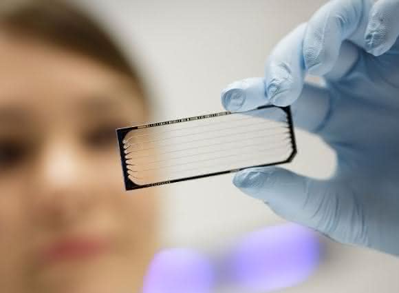 Mittels moderner Hochdurchsatzsequenzierung entdeckten NCT-Wissenschaftler eine therapeutisch relevante Besonderheit im genetischen Code von Bauchspeicheldrüsenkrebs. (Bild: NCT / Philip Benjamin“) Hochdurchsatzsequenzierung