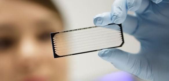 Mittels moderner Hochdurchsatzsequenzierung entdeckten NCT-Wissenschaftler eine therapeutisch relevante Besonderheit im genetischen Code von Bauchspeicheldrüsenkrebs. (Bild: NCT / Philip Benjamin“) Hochdurchsatzsequenzierung