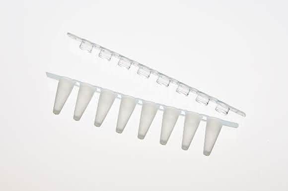 Fast PCR Tube Strips von Eppendorf