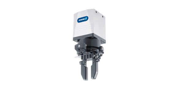 Schunk EGS