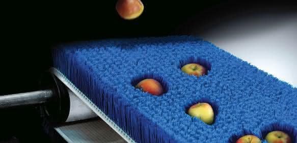 Kullen-Koti apple promotion