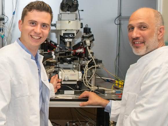 Bild aus dem Labor für Experimentelle Epileptologie und Kognitionsforschung der Universität Bonn