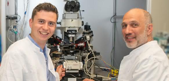 Bild aus dem Labor für Experimentelle Epileptologie und Kognitionsforschung der Universität Bonn