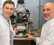 Bild aus dem Labor für Experimentelle Epileptologie und Kognitionsforschung der Universität Bonn