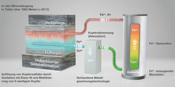 In-situ-Biolaugung eines Kupfersulfiderzes