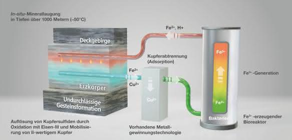 In-situ-Biolaugung eines Kupfersulfiderzes
