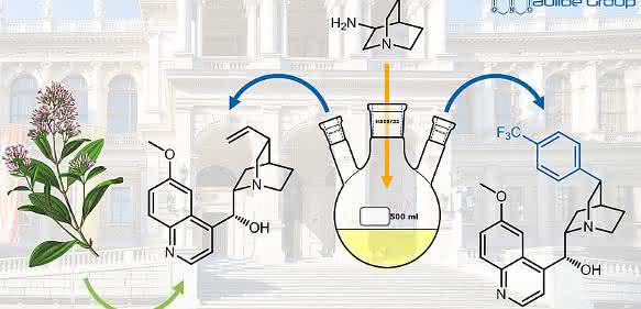 Der Naturstoff Chinin (Bildmitte) und ein neues Arylanalogon (rechts) mit verbesserter Aktivität gegen Malaria-Erreger. (Bild: Maulide Group, Universität Wien)
