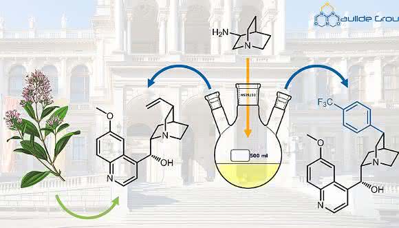 Der Naturstoff Chinin (Bildmitte) und ein neues Arylanalogon (rechts) mit verbesserter Aktivität gegen Malaria-Erreger. (Bild: Maulide Group, Universität Wien)