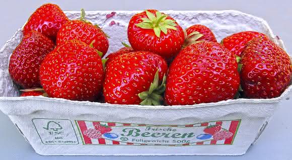 Die vorteilhafte Symbiose von Pflanzen mit stickstofffixierenden Bakterien ... Schale mit Erdbeeren