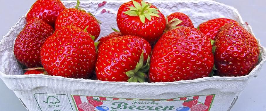Die vorteilhafte Symbiose von Pflanzen mit stickstofffixierenden Bakterien ... Schale mit Erdbeeren