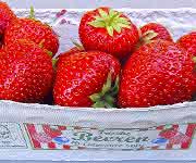Schale mit Erdbeeren
