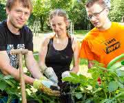 Gutes Beispiel für Nachhaltigkeit: ein Permakulturgarten, in dem Tier und Mensch kooperieren. Ihn gibt es auch auf dem Campus der TU Chemnitz. (Archivfoto: TU Chemnitz/Christian Schenk) Junge Gärtner an der TU Chemnitz