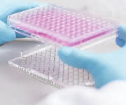 Magnetische 3D-Zellkultur mittels Bioprinting.