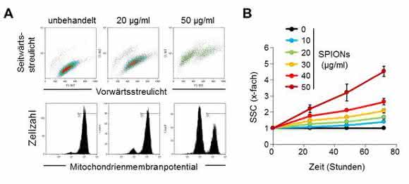 Nanopartikelaufnahme in der Durchflusszytometrie