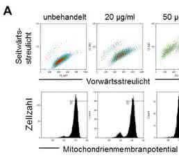 Nanopartikelaufnahme in der Durchflusszytometrie