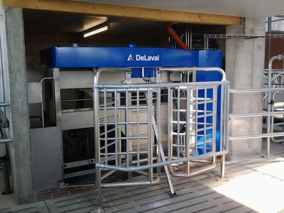 Automatic milking systems