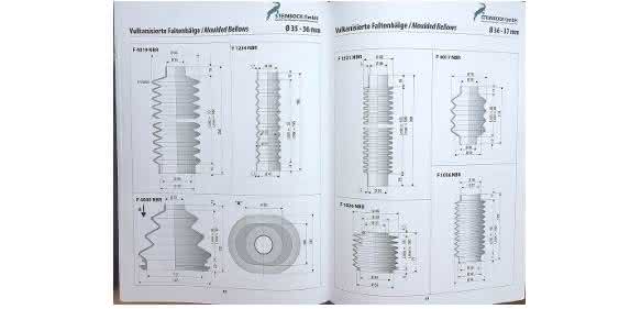 Capricorn catalog