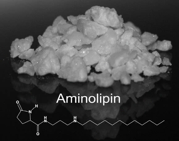 Aminolipin (Foto: Institut für Klinische Anatomie und Zellanalytik)
