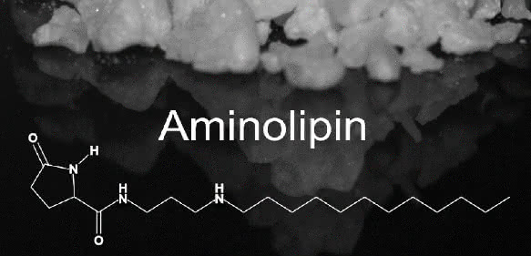 Aminolipin (Foto: Institut für Klinische Anatomie und Zellanalytik)