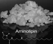 Aminolipin (Foto: Institut für Klinische Anatomie und Zellanalytik)
