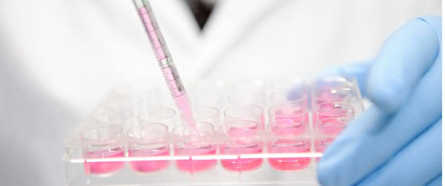 Im "Projekthaus Tissue Engineering" suchen Wissenschaftler aus unterschiedlichen Disziplinen nach Lösungen für die Regeneration von Gewebe. (Bild: Evonik) Laborbild: Pipettieren in eine Multiwellplatte
