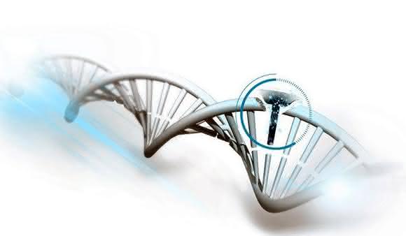 DNA-Strangbruch- und -Reparaturanalyse