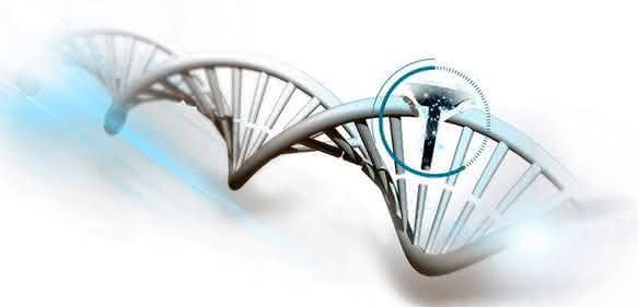DNA-Strangbruch- und -Reparaturanalyse