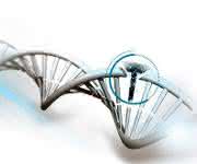 DNA-Strangbruch- und -Reparaturanalyse (Bild: 3T) DNA-Strangbruch- und -Reparaturanalyse