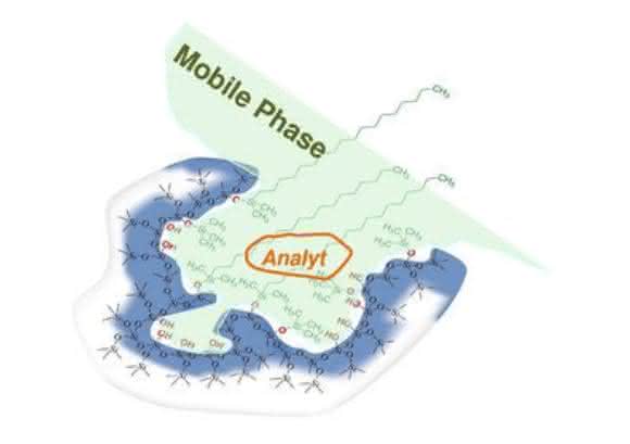 Schematische Darstellung einer Pore eines LC-Partikels