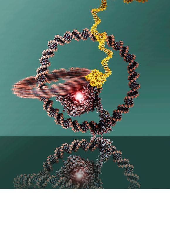Modell der Nanomaschine