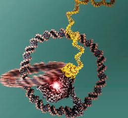 Modell der Nanomaschine