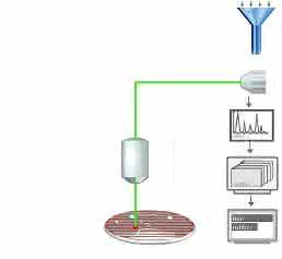 Mikroplastik analysieren mit automatisierter Raman-Mikrospektroskopie: Partikel-Identifizierung in Trinkwasser Mikroplastik analysieren mit automatisierter Raman-Mikrospektroskopie: Partikel-Identifizierung in Trinkwasser