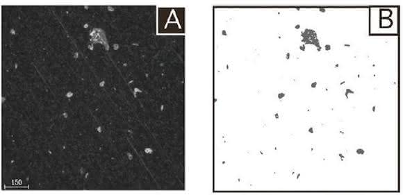 Mikroplastik analysieren mit automatisierter Raman-Mikrospektroskopie: Partikel-Identifizierung in Trinkwasser Mikroplastik analysieren mit automatisierter Raman-Mikrospektroskopie: Partikel-Identifizierung in Trinkwasser