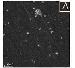 Mikroplastik analysieren mit automatisierter Raman-Mikrospektroskopie: Partikel-Identifizierung in Trinkwasser Mikroplastik analysieren mit automatisierter Raman-Mikrospektroskopie: Partikel-Identifizierung in Trinkwasser